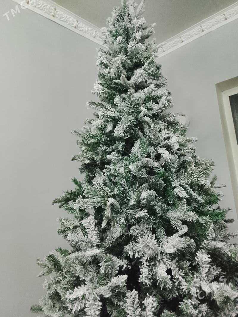 Yolka Arca - Ашхабад - img 2