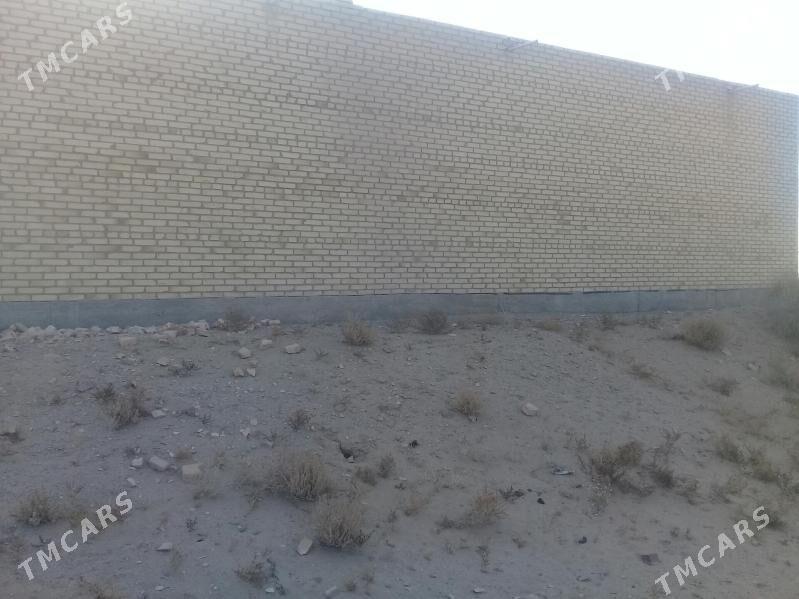 satlyk mellek jay - Darganata - img 4