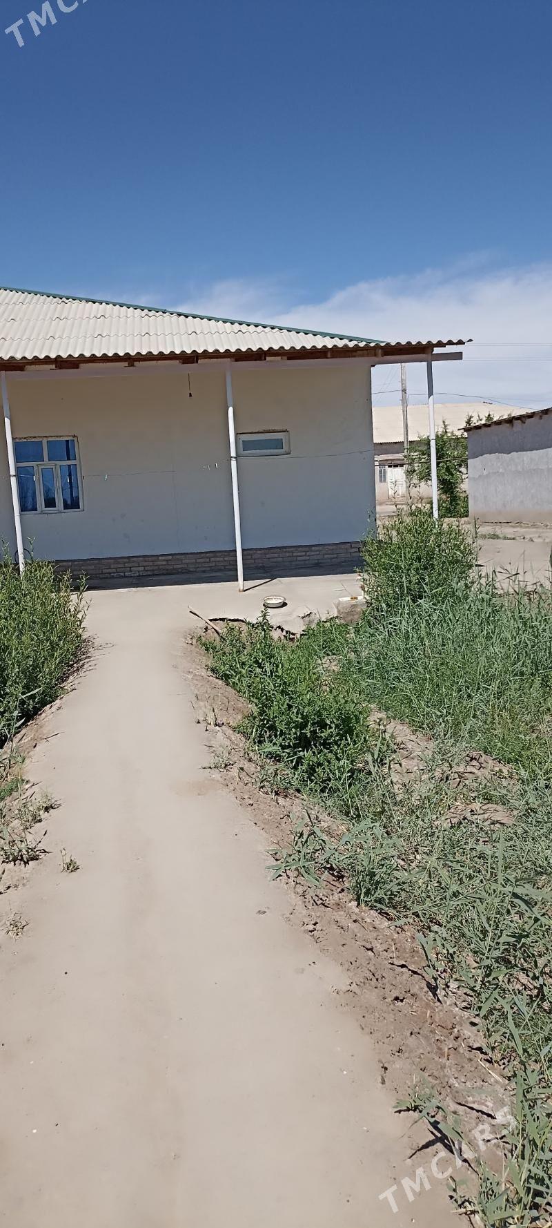 jay - Boldumsaz - img 7