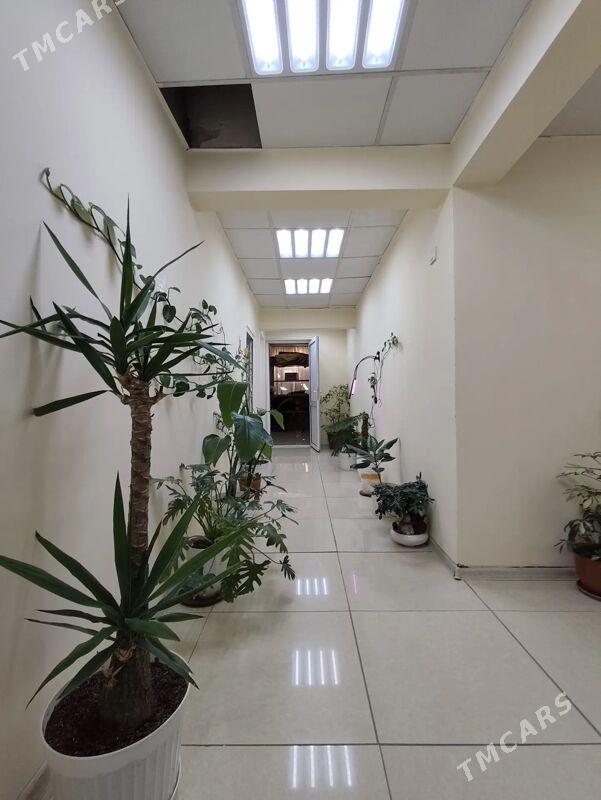 центр satlyk hususy yer - Aşgabat - img 6