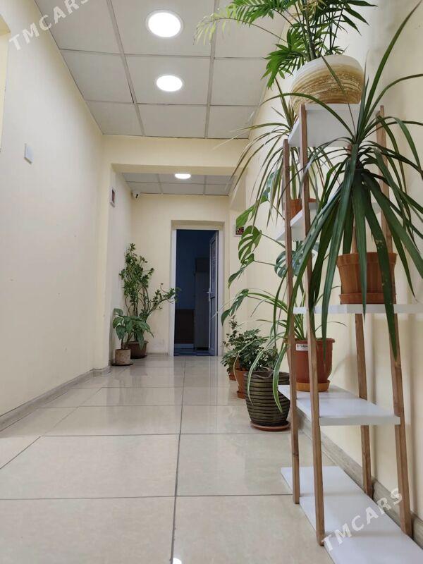 центр satlyk hususy yer - Aşgabat - img 8