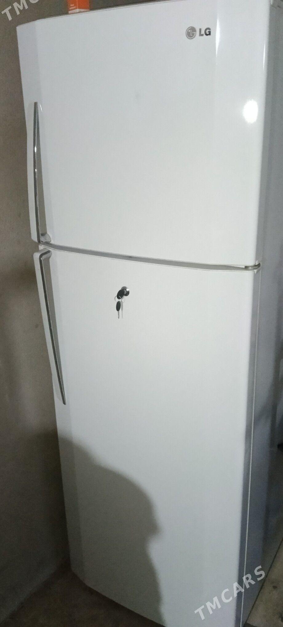 Holodinlik LG - Änew - img 3