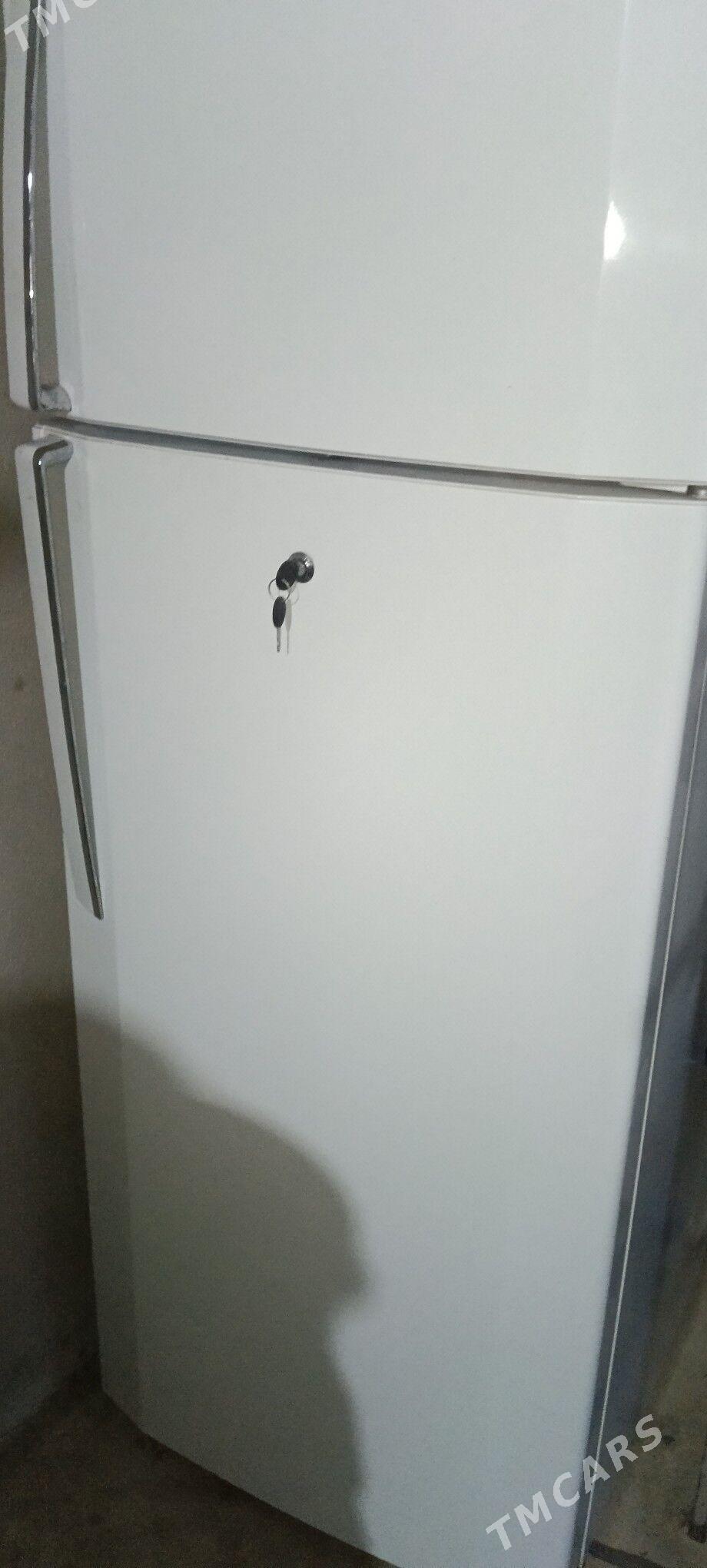 Holodinlik LG - Änew - img 2