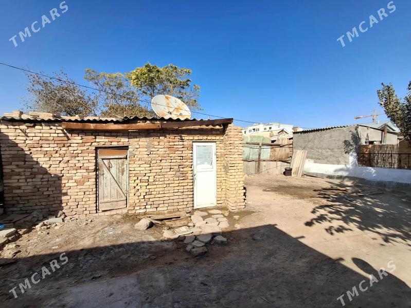 SATLYK 2 KM - Mary - img 4