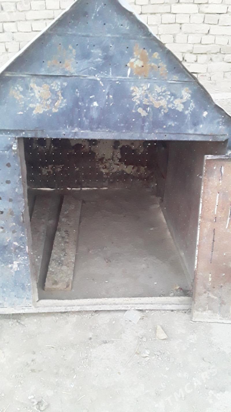 gus ketek - Гызыларбат - img 3