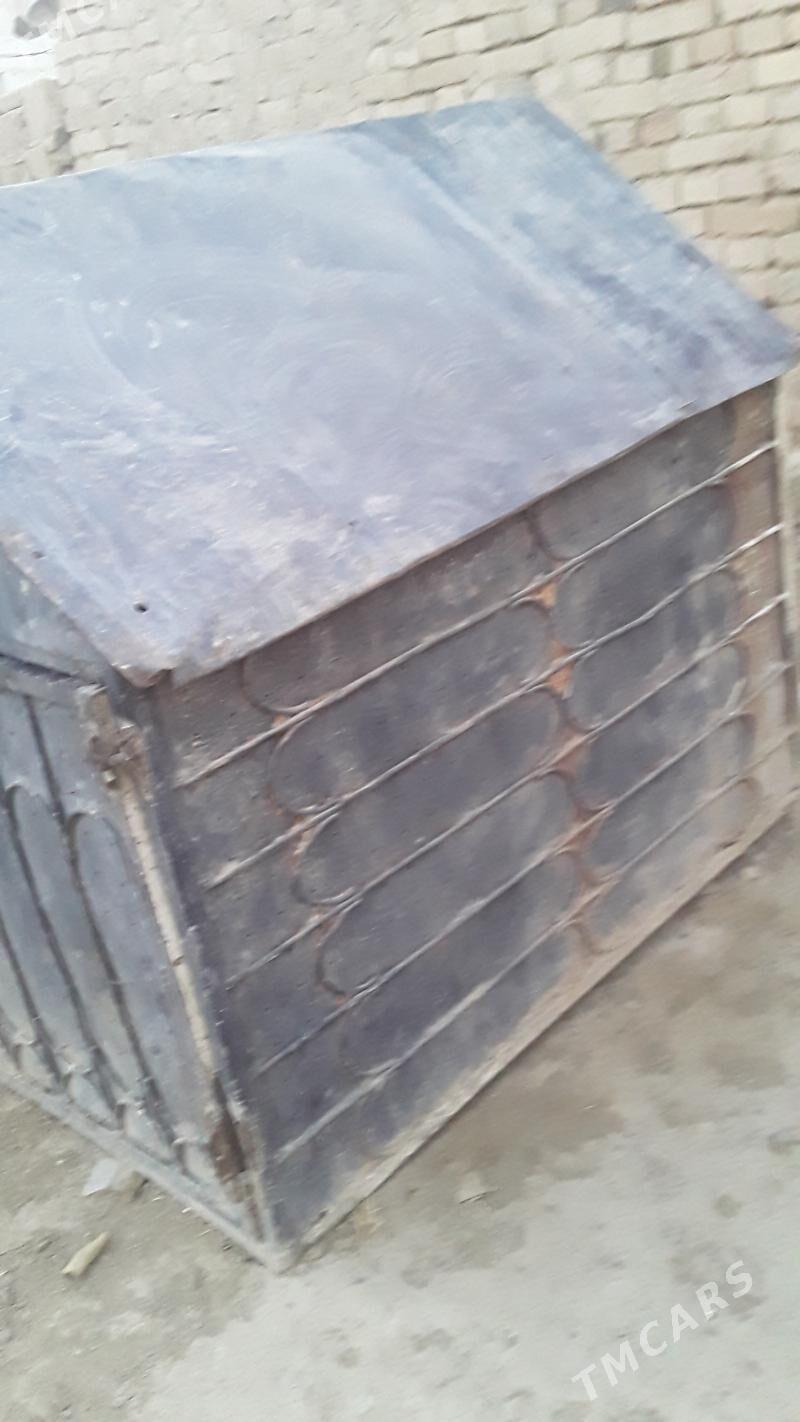 gus ketek - Гызыларбат - img 2