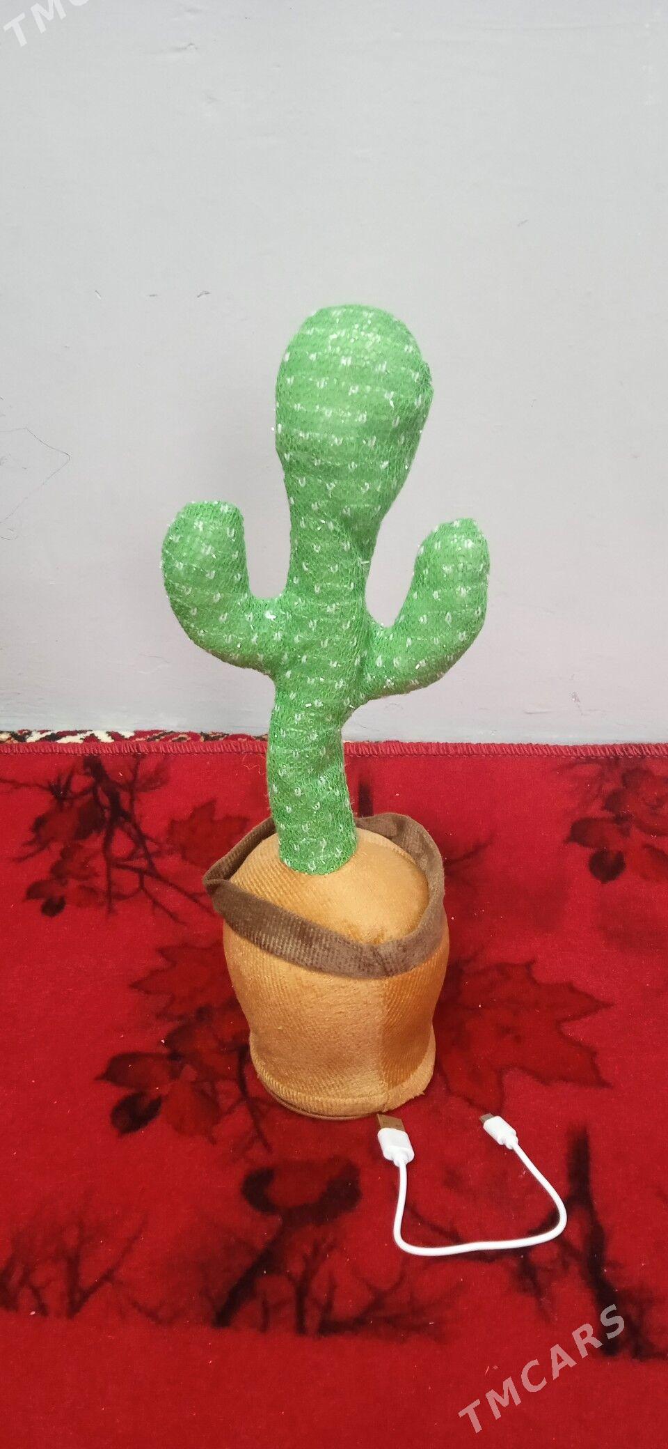 ГИТАРА САМАКАТ КАПТУС - Mary - img 3