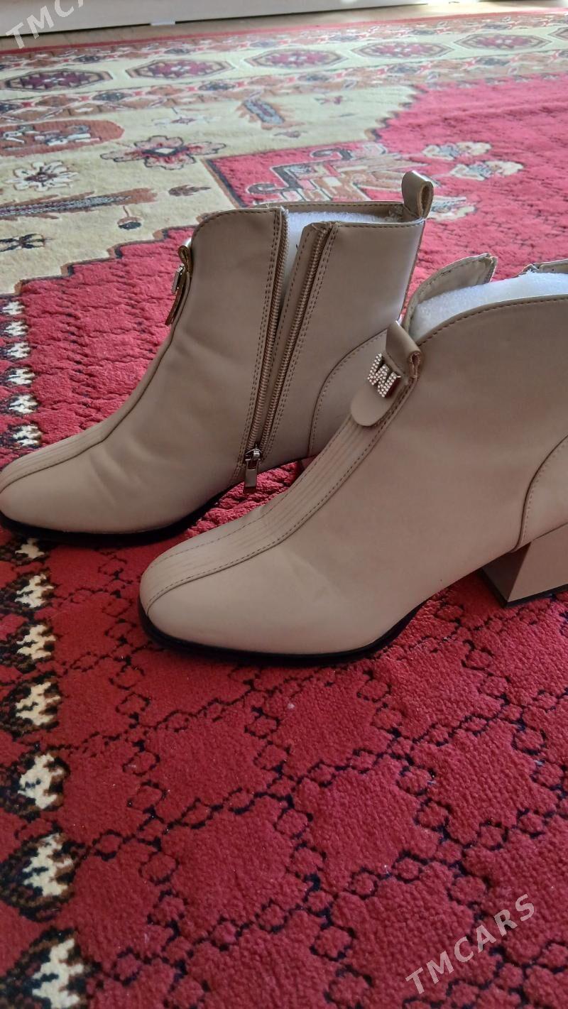 adik - Daşoguz - img 2