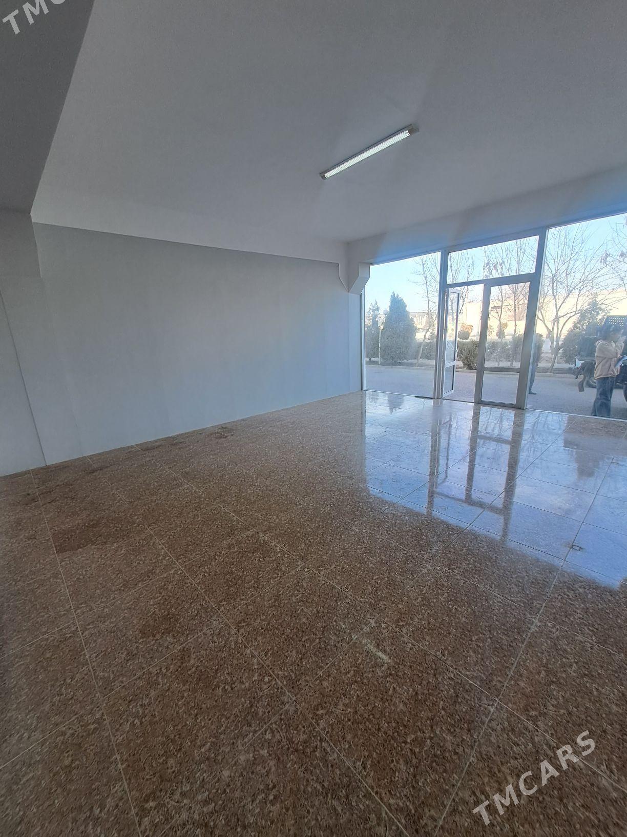 Arenda yer - Daşoguz - img 4