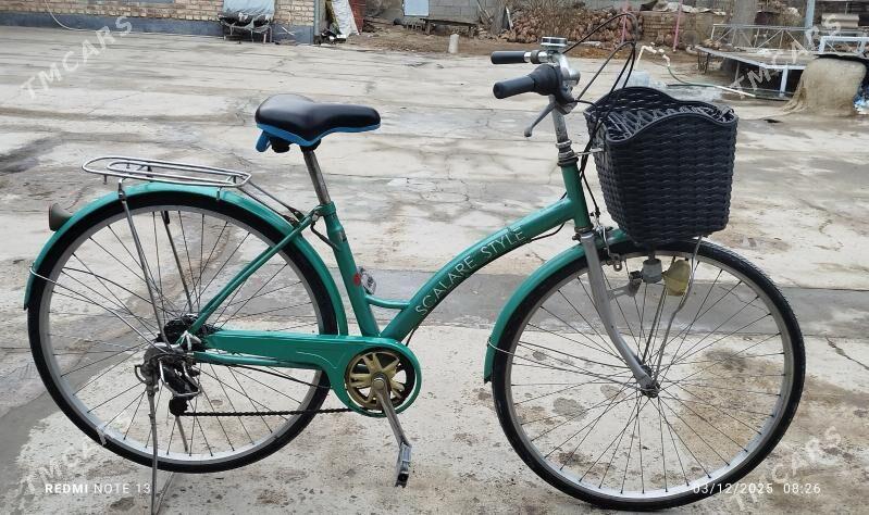 TİGİR ÝAPONKA TÄZEJE - Bäherden - img 2