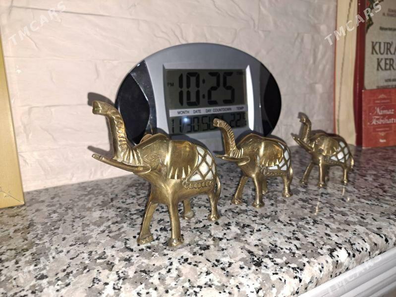 piljagazlar - Aşgabat - img 2