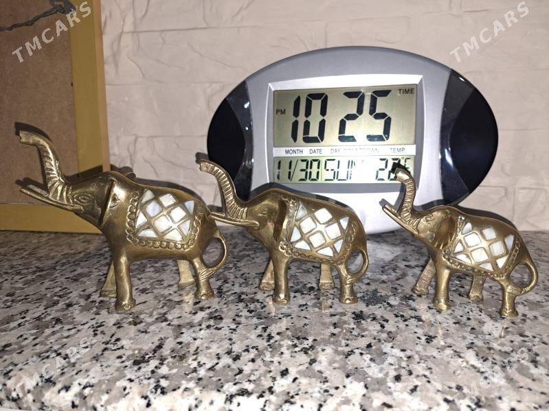 piljagazlar - Aşgabat - img 1