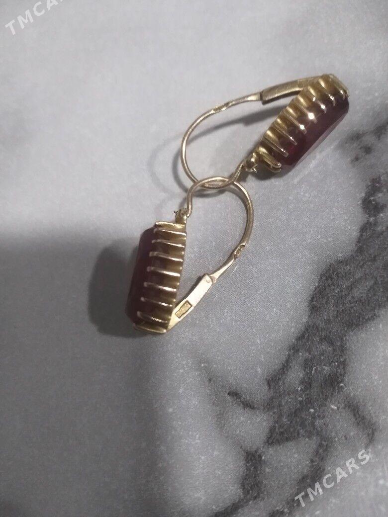 40 dıs - Sakarçäge - img 2