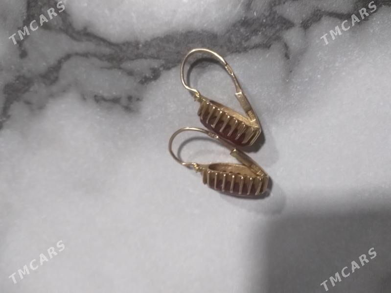 40 dıs - Sakarçäge - img 1