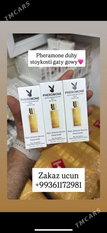 Stoykiy duhylar amatly - Aşgabat - img 3