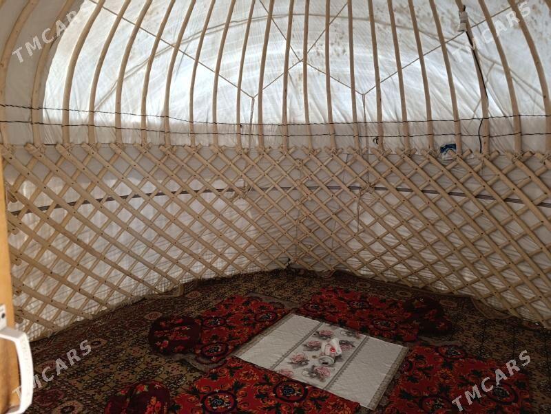 gara oy - Каракумский этрап - img 4