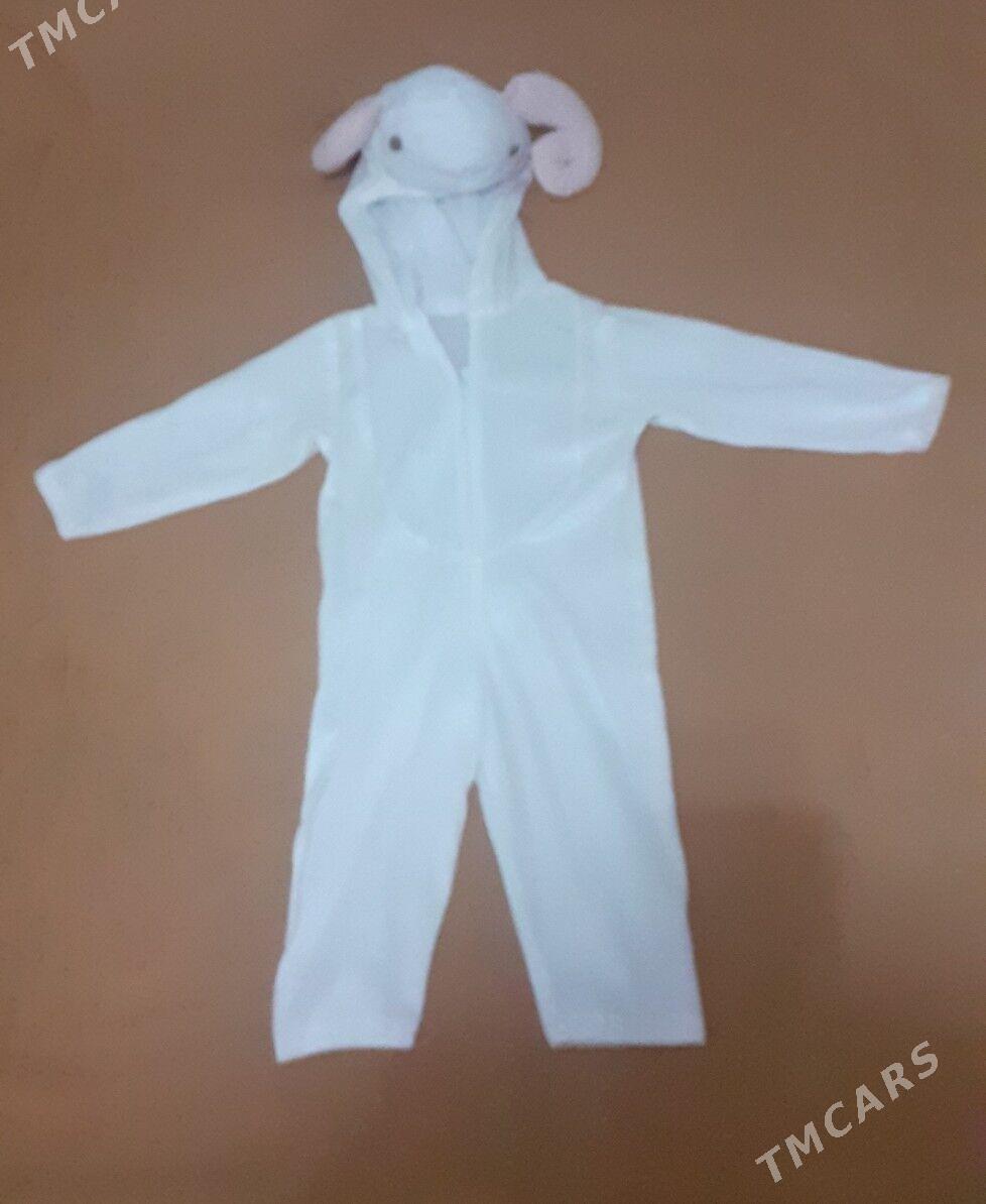 akja esiker - Daşoguz - img 3