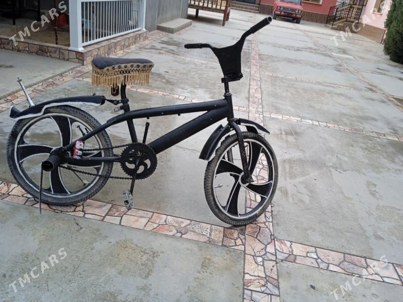 tigir - Büzmeýin - img 2