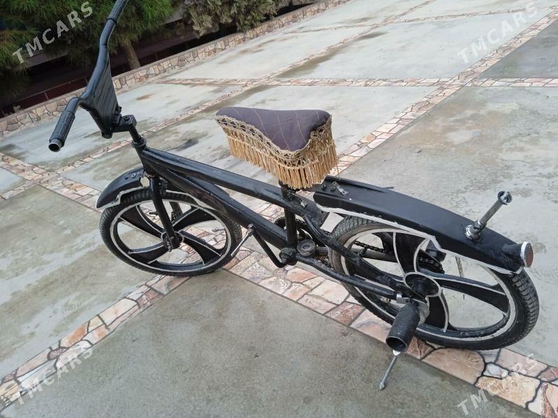 tigir - Büzmeýin - img 3