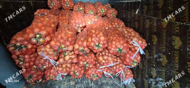 Iṣgär. gerek. güneli - Теджен - img 2