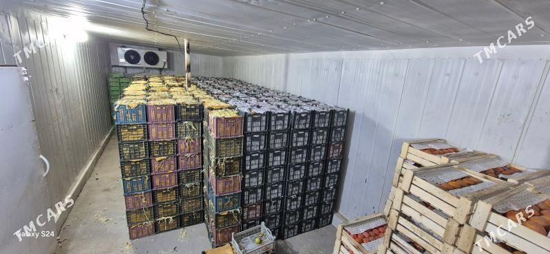 Iṣgär. gerek. güneli - Теджен - img 3