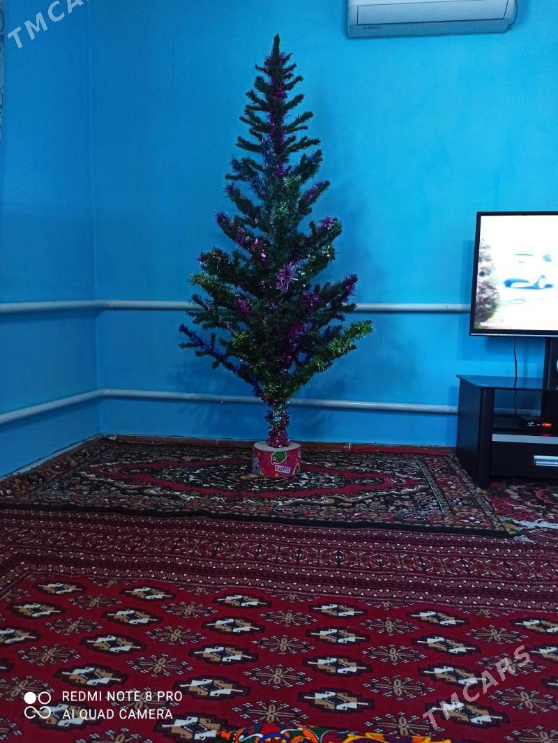 yolka - Дашогуз - img 2