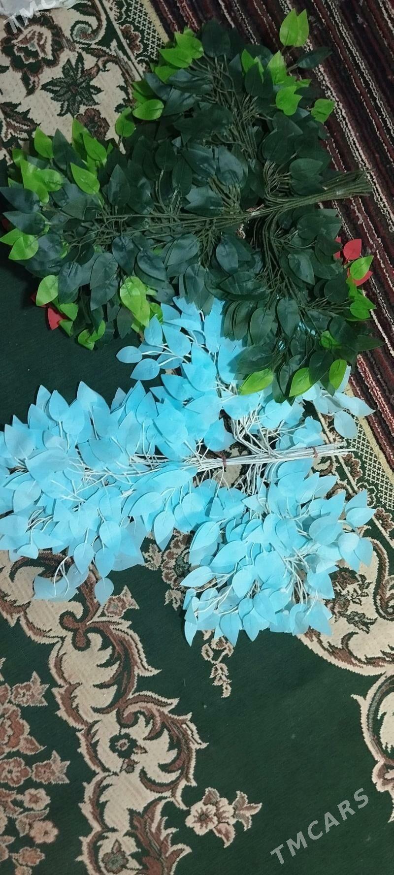 Howly bezegler - Теджен - img 4