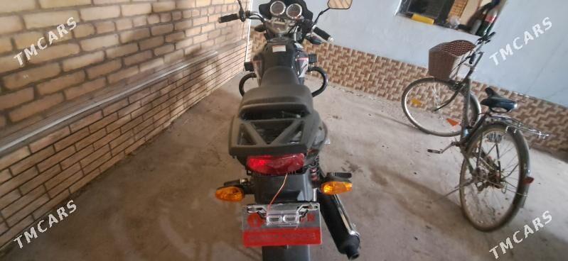 Fekon FK150-8G 2025 - 18 000 TMT - Halaç - img 2