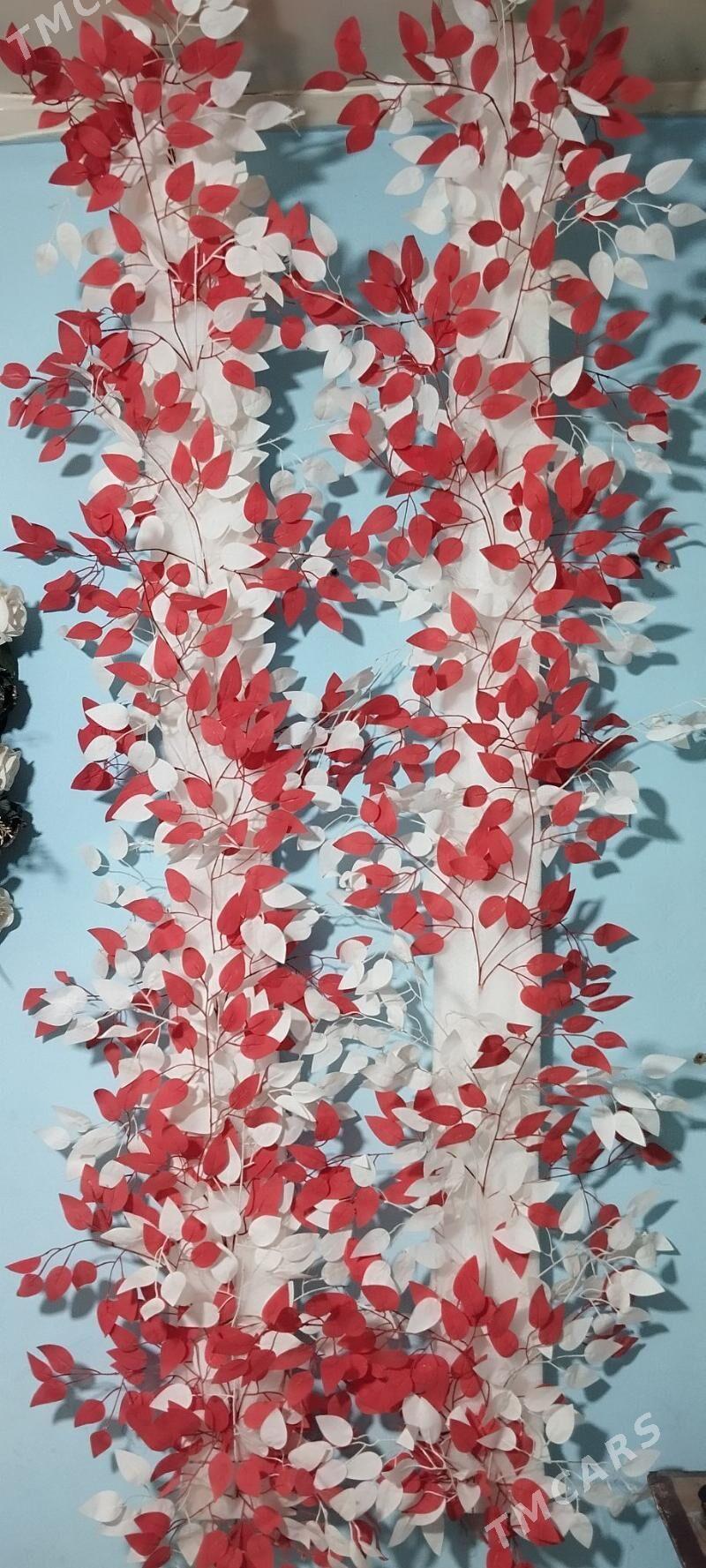 Howly bezegler - Теджен - img 3