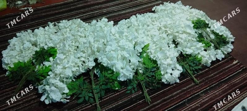 Howly bezegler - Теджен - img 8