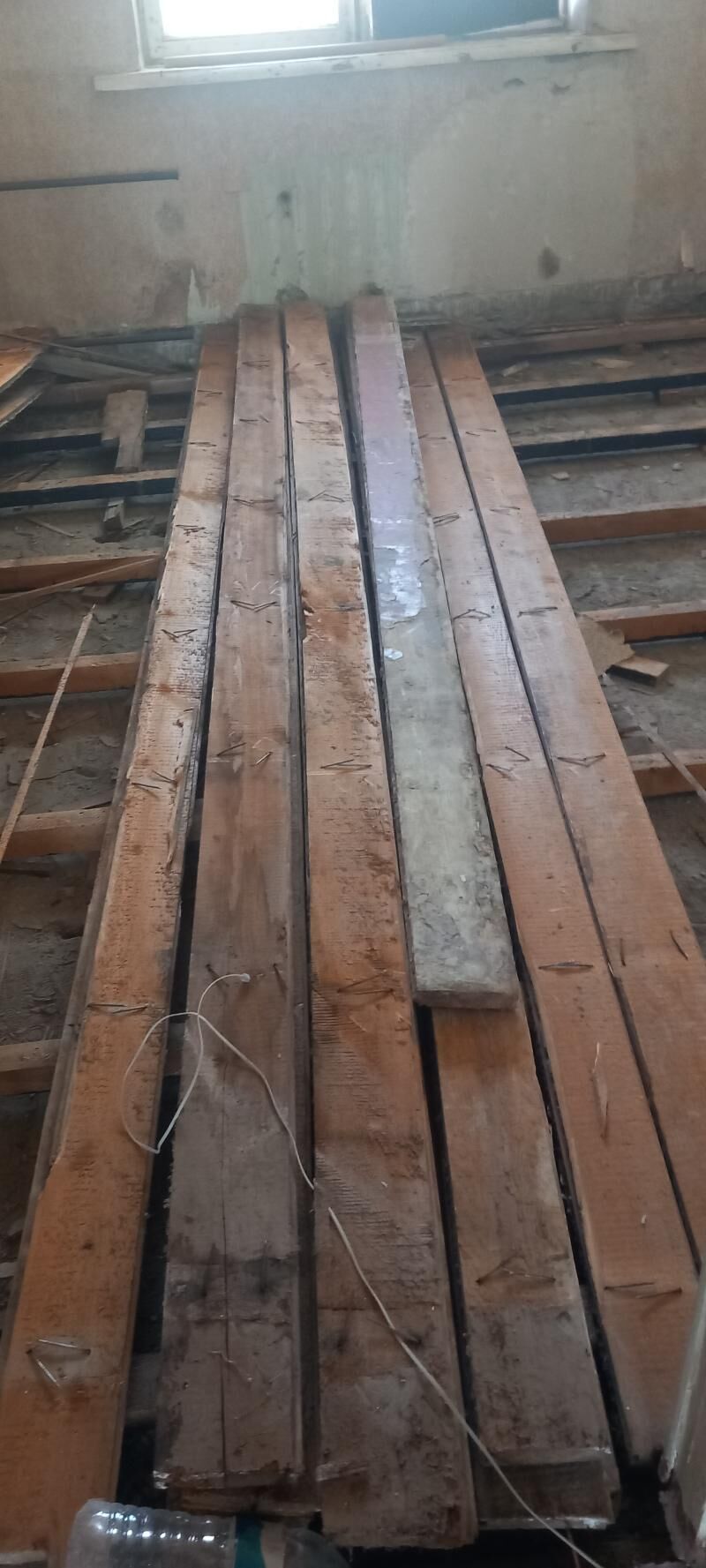 AGAÇ DEMIR PILIMUT ALYAS - Hitrowka - img 2