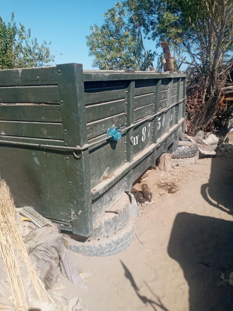 zil kuzwa 2 000 TMT - Çärjew - img 5