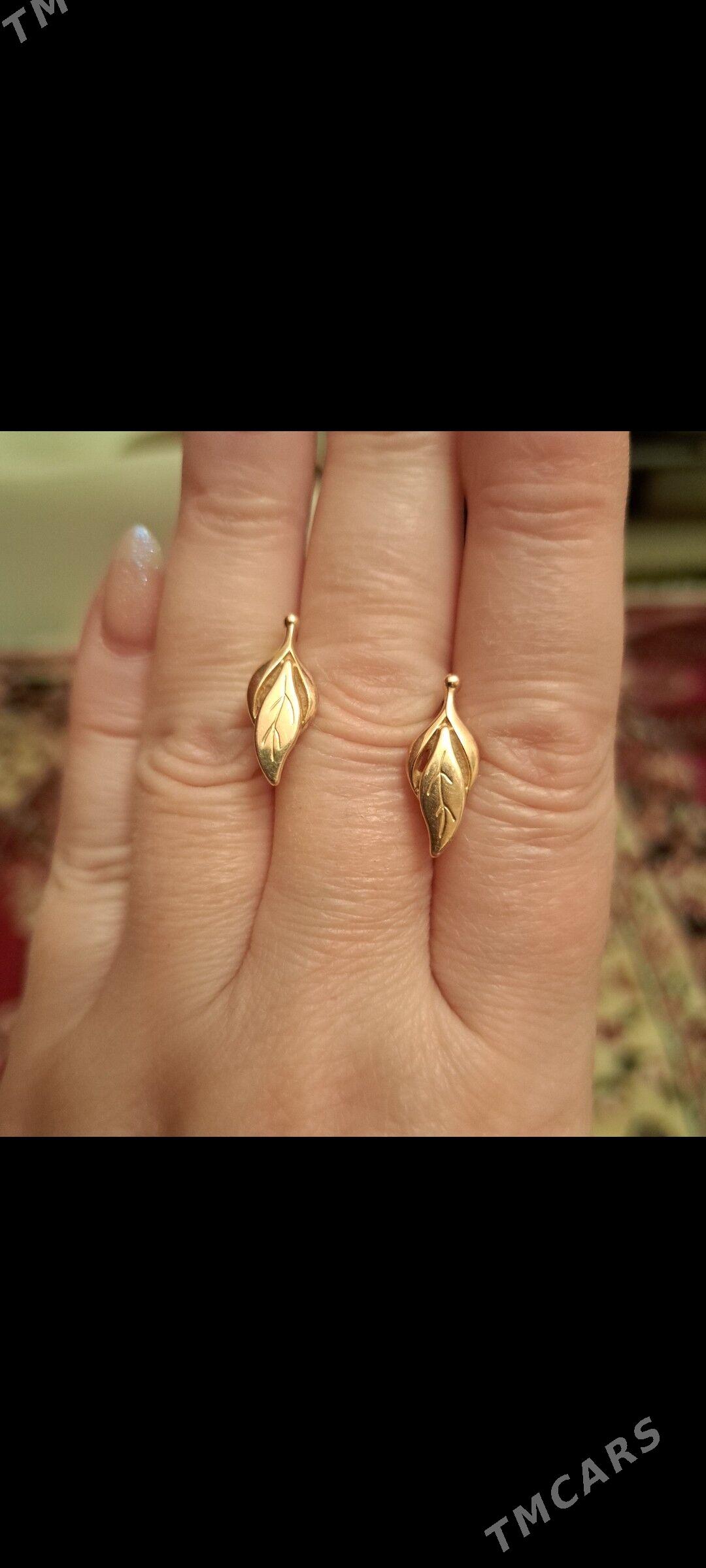 золотые серьги - Ак-Бугдайский этрап - img 2