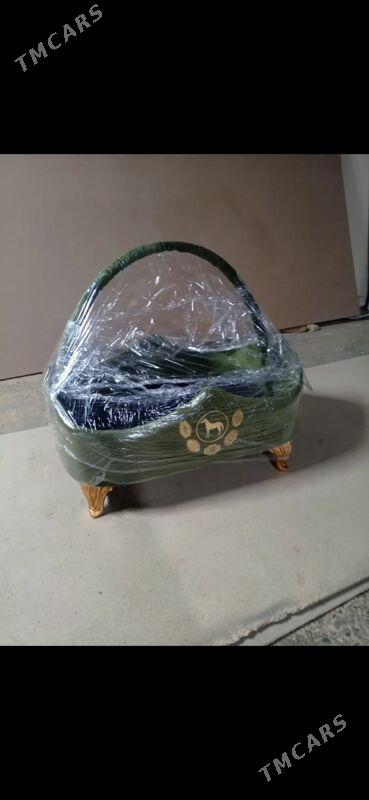 SANNYKLAR OPTOM DINE - Ашхабад - img 9