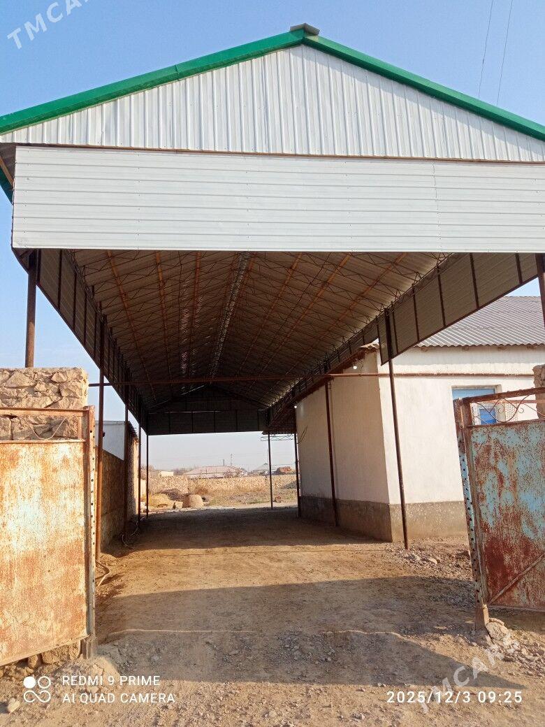 satlyk jay - Койтендаг - img 10