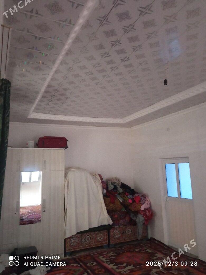 satlyk jay - Койтендаг - img 4