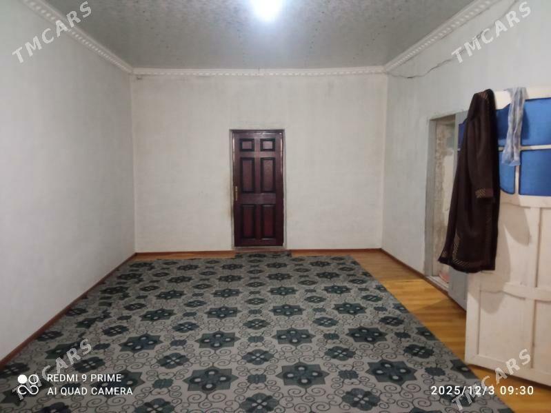 satlyk jay - Койтендаг - img 2