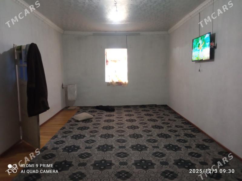 satlyk jay - Койтендаг - img 3