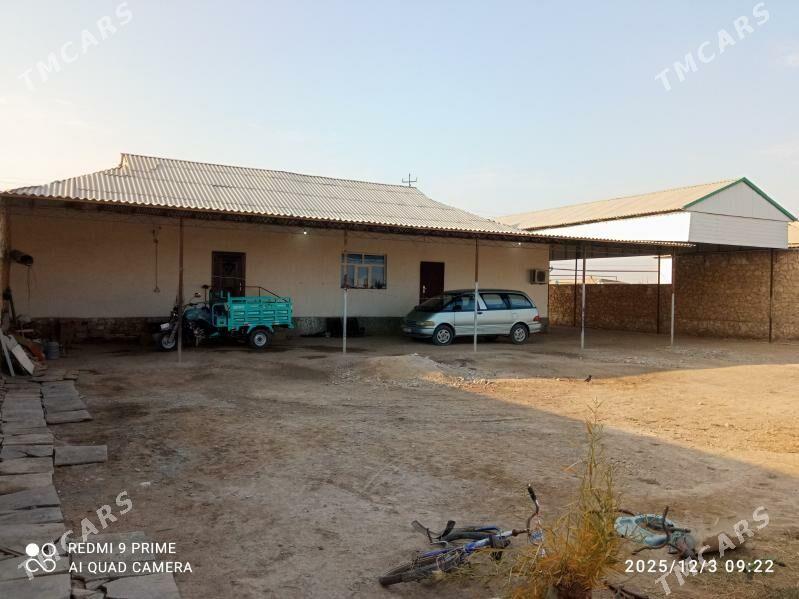 satlyk jay - Койтендаг - img 6