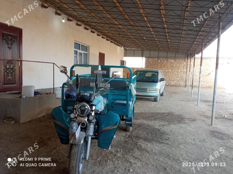 satlyk jay - Койтендаг - img 9