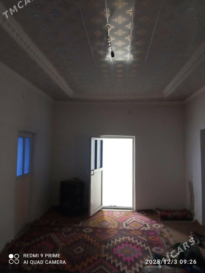 satlyk jay - Койтендаг - img 8