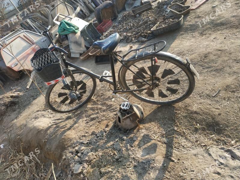 Tigir - Gurbansoltan Eje - img 3