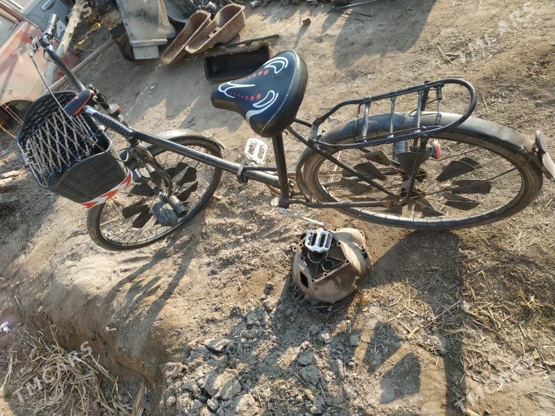 Tigir - Gurbansoltan Eje - img 4