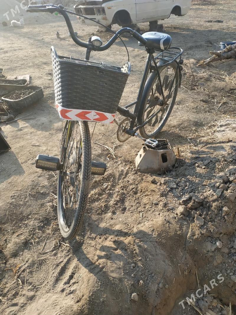 Tigir - Gurbansoltan Eje - img 5