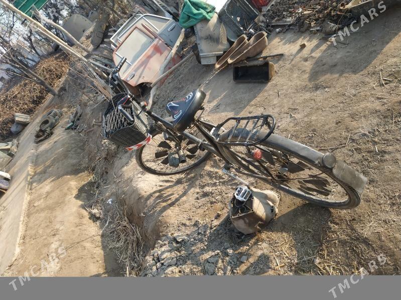 Tigir - Gurbansoltan Eje - img 2