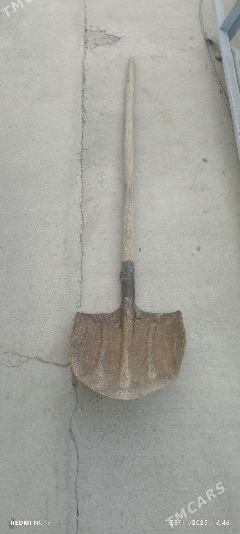 Pil lapatga - Büzmeýin - img 2