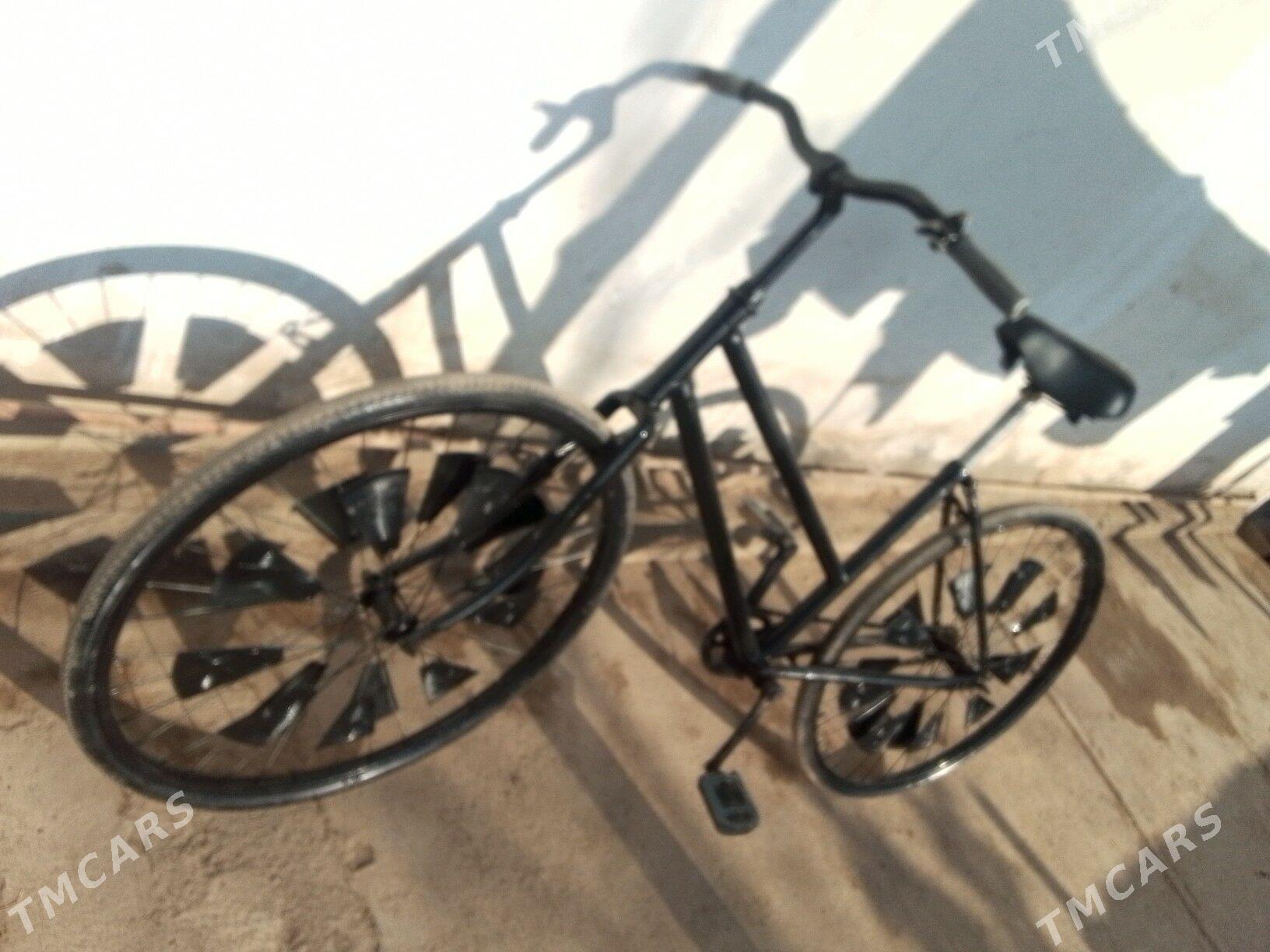 Tigir. - Gurbansoltan Eje - img 4