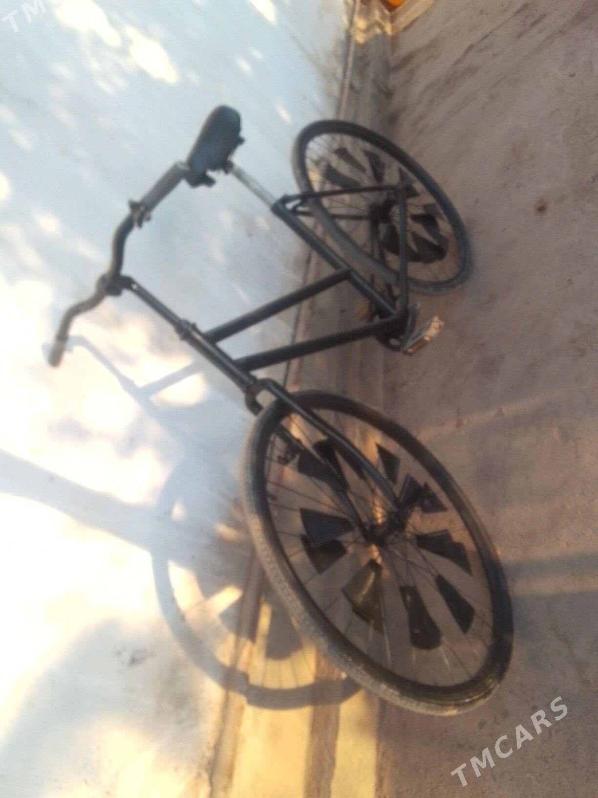 Tigir. - Gurbansoltan Eje - img 3