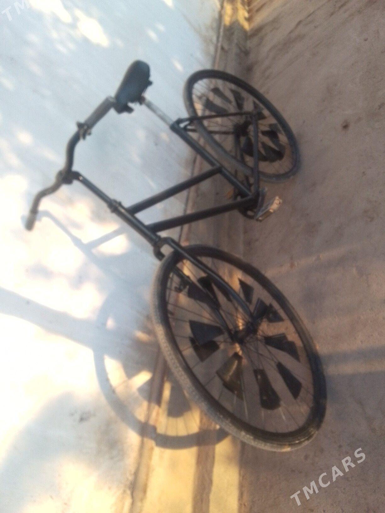 Tigir. - Gurbansoltan Eje - img 2