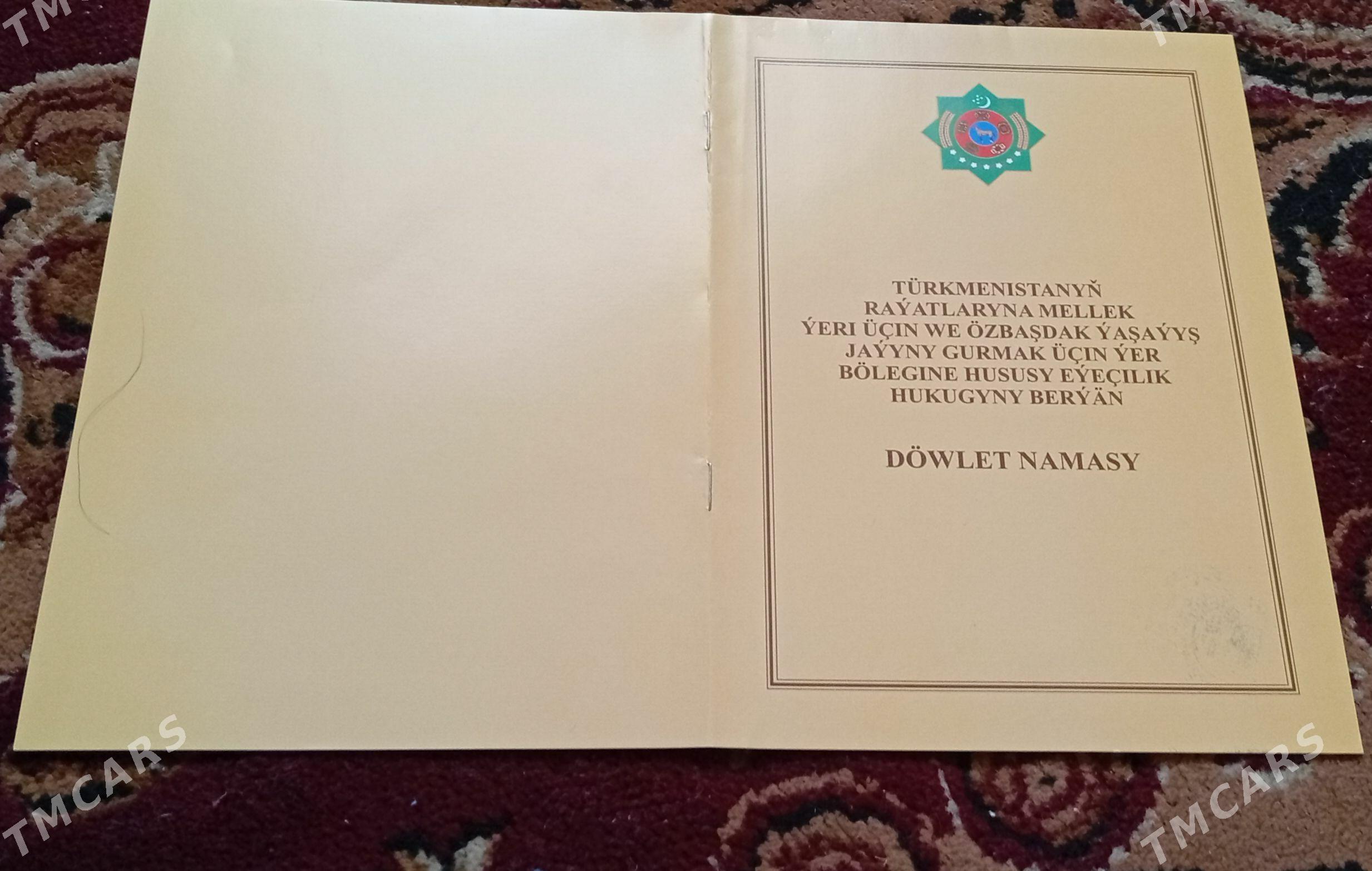 Satlyk Jay - Дашогуз - img 3